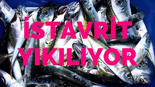 İstavrit Olmasa Yandık.