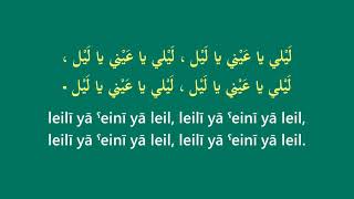 Dania: Leiley ليلي {original audio   lyrics}