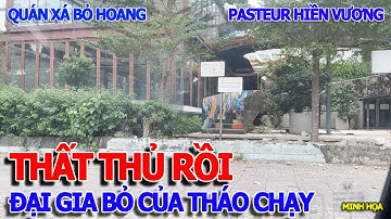 RỤNG NỤ NHƯ SUNG - ĐẠI GIA BỎ CỦA THÁO CHẠY & QUÁN CÀ PHÊ SANG TRỌNG BỎ HOANG PASTEUR QUẬN 3 SÀI GÒN