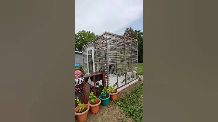 Home made green house for CANDY.