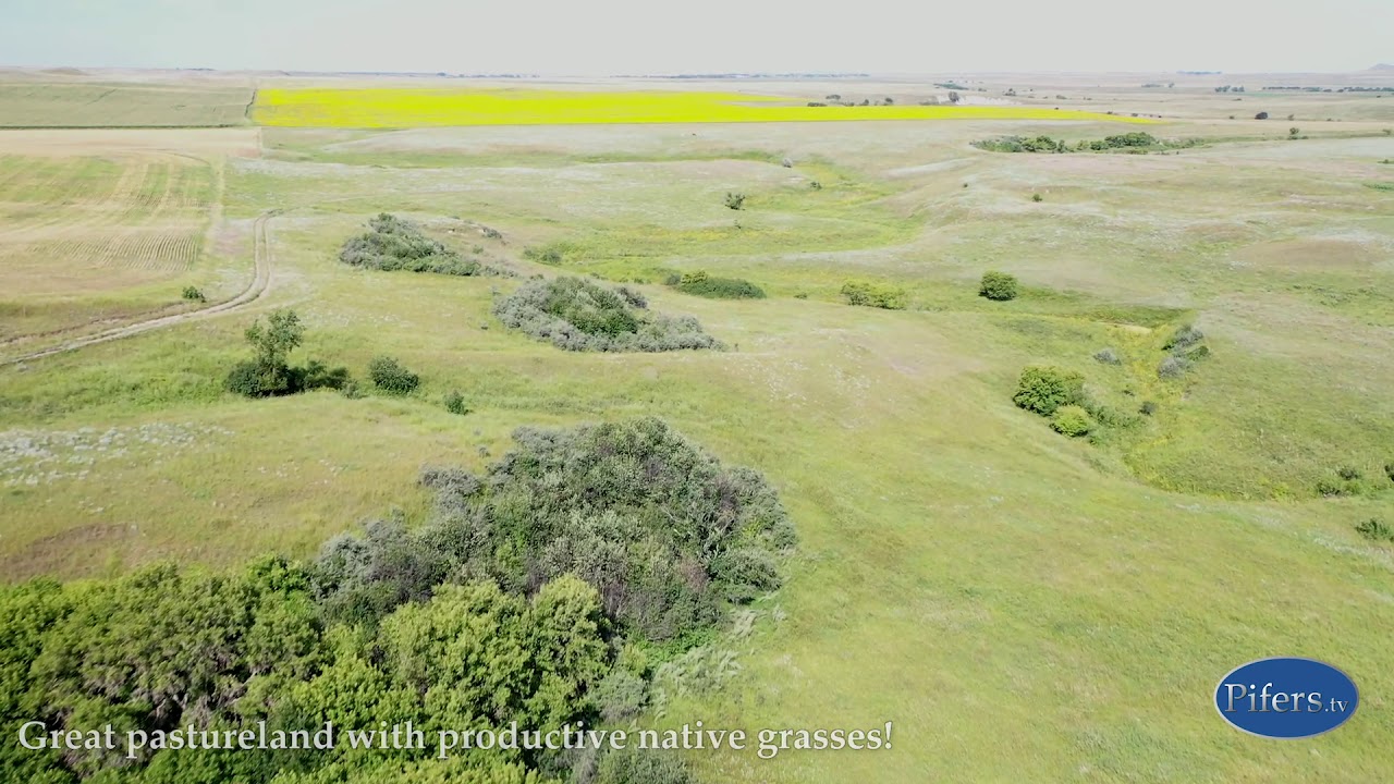 LAND FOR SALE 399 +/ Acres Hettinger County, ND YouTube