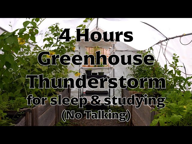 4 Hours Greenhouse Thunderstorm for Sleep & Studying ( no talking )