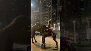 Dubai nights, Burj Khalifa vibes✨🌙Pure magic in every view 💎Subscribe for more