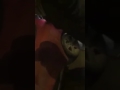 سب الجلالة و التباهي بالجاه من قبل إمرأة