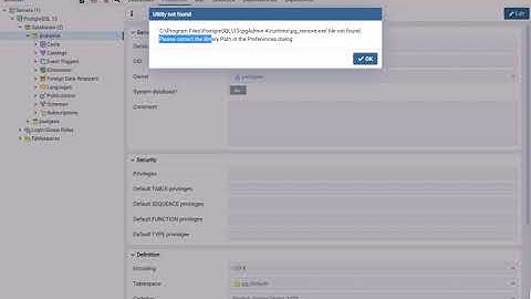 pgAdmin - Please correct the Binary Path in the Preferences dialog Solution for Windows - Suscribe!!