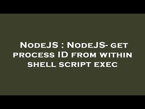 NodeJS : NodeJS- get process ID from within shell script exec
