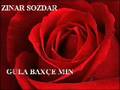 Zinar sozdar  gula baxe min