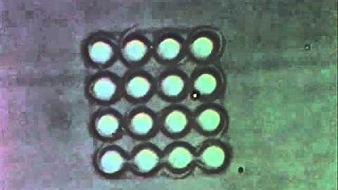2-D microlens array atop PMMA_A