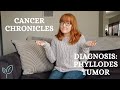 Cancer Chronicles | Diagnosis: Phyllodes Tumor