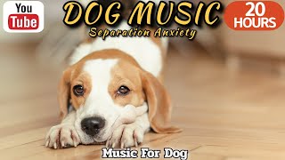 20 HOURS of Dog Calming Sleep Music🐶💖Dog relaxation🦮🎵 Anti Separation Anxiety Relief⭐Healingmate