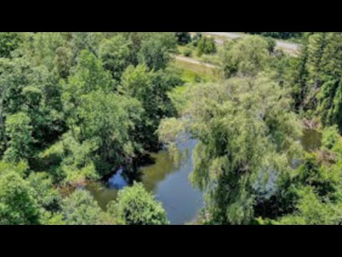 1 Tinny Lane, Woodbury, NY home video tour