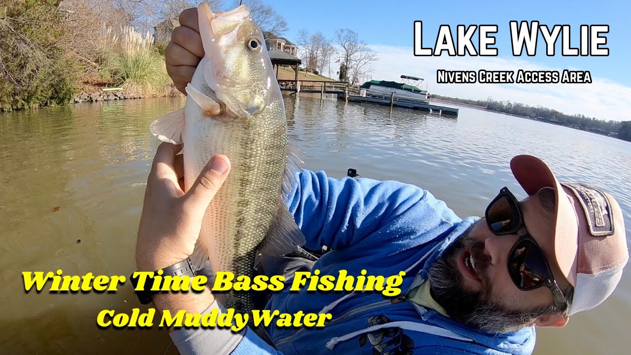 Winter Bass Fishing in Cold Muddy Conditions – Low Visibility – Ned Rig – Kayak Fishing Lake Wylie