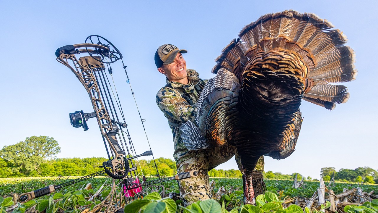 Bowhunting Turkeys (No Blind)