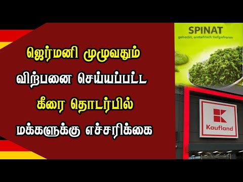 🔴சற்றுமுன்! யாழில் இன்று திடீரென செய்த கனமழையால் கோவிலுக்குள் புகுந்த வெள்ளம்! தற்போதைய நிலை என்ன?