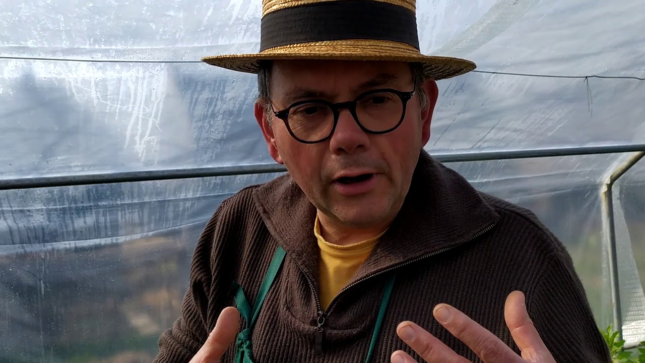 Bactéries du sol et engrais verts