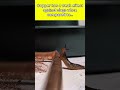 copper tape v.s Wool tape