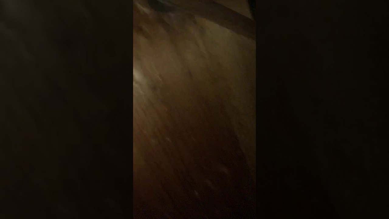 David shows once again why he’s number 1 in finding Rats points of entry