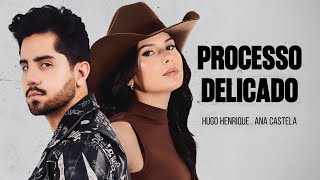 Hugo Henrique e Ana Castela - Processo Delicado - Música Nova 