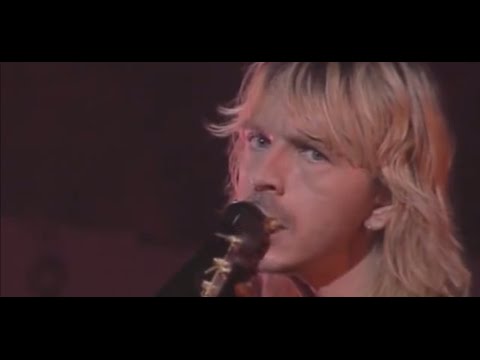 Renaud - La Mère À Titi (Live)