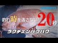 【タイラバ】ローテーション術を駆使して真鯛を狙う in 仙台 / 赤澤康弘