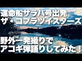 【運命船サラバ号出発 / ザ・コブラツイスターズ】弾き語りカバー@江戸川 / 丸山詩乃
