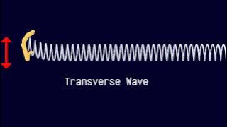 Longitudinal and Transverse Waves