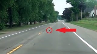Baby Raccoon Saved In Middle of Busy Highway