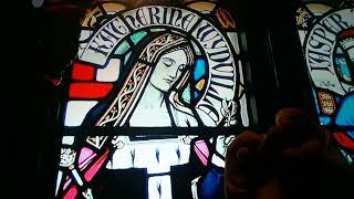 Horacio the handsnake - Catherine Woodville, Duchess of Buckingham & Bedford