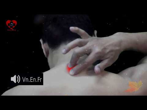 Video DU14 | Huyệt Đại chùy | Đốc mạch | Acupoint VIKUDO - youtube