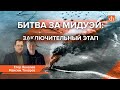 Битва за Мидуэй. Заключительный этап/Максим Токарев и Егор Яковлев