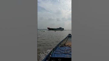 Cuộc hành trình đi câu tôm ở cảng cái cui #fishing