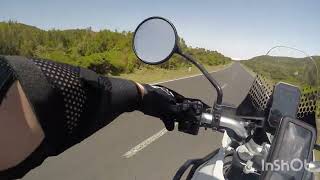 Ducati DesertX pelas estradas  do Fanal, Madeira Portugal