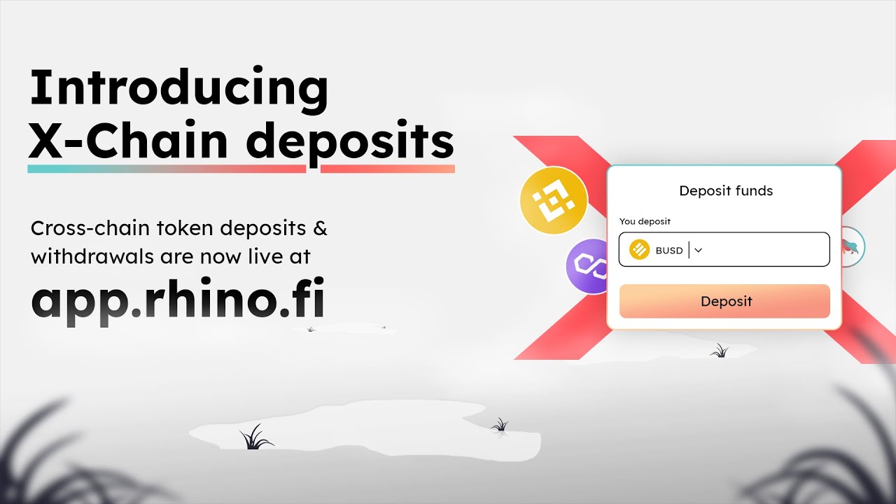 rhino.fi Cross-chain Token Deposit & Swap Guide