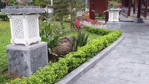 Cách tạo hàng rào SIÊU ĐẸP bằng cây chuỗi ngọc