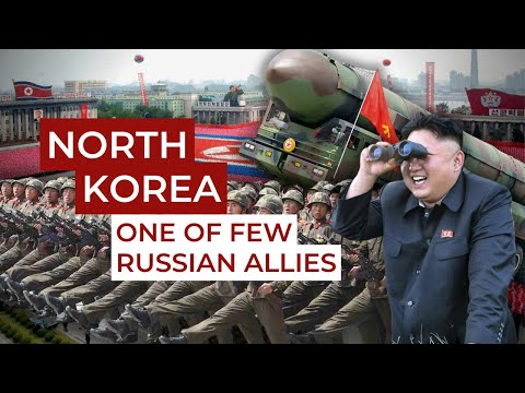 North Korea in the russian-Ukrainian war. Ukraine in Flames #335