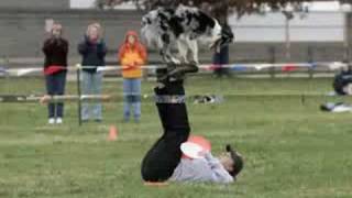 USDDN Disc Dog World Finals