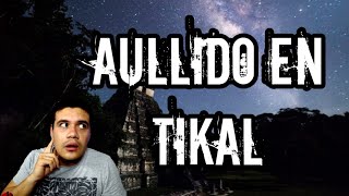 Esto Sucedió En Tikal Hdehistoria