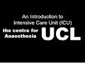 Basics of the Intensive Care Unit