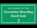 Keeneland Live Feed