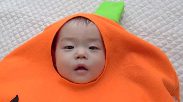 Download ベビー ハロウィン 衣装 Mp4 Mp3