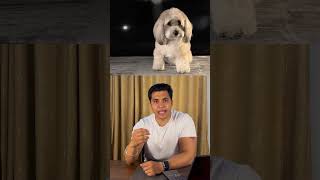 First Anti-Aging Dog Pill Gets FDA Backing !