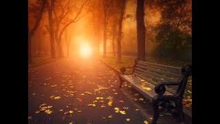 Autumn Glow/Martha Mier