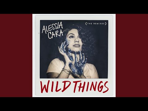 洋楽 UNKLE Soundsystem\"WhereTheWildThingsAre\" UNKLE Soundsystem – Where The Wild Things Are – CD (Mixed, Promo