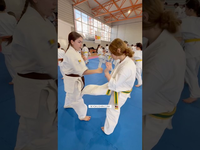 Cristian Boldut Fight Camp 2026 #kyokushin #shinkyokushin #karate #1kyokushin #一極真 #極真会館