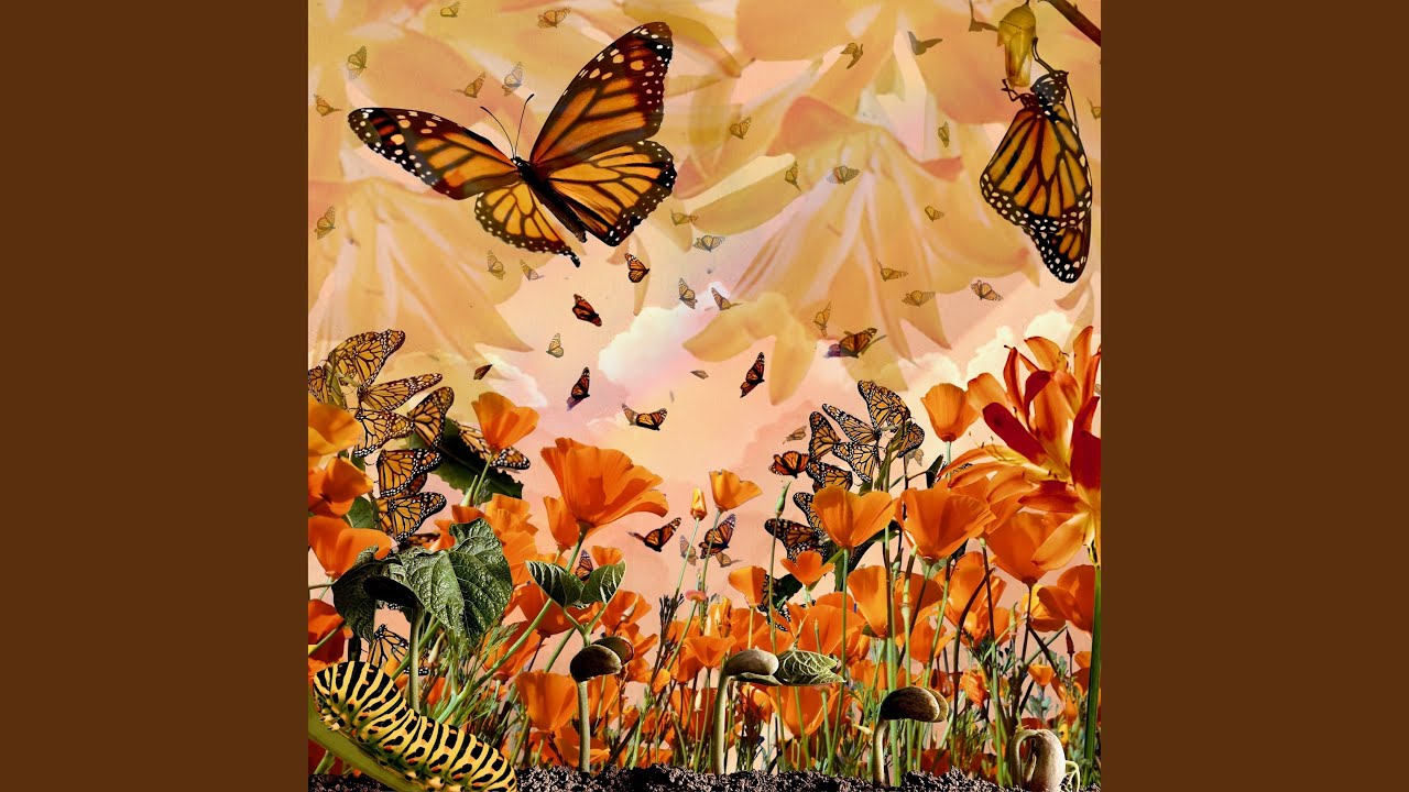 Watch Metamorphosis on YouTube Watch Metamorphosis on YouTube