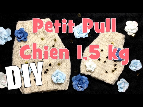 DIY Tricot: Petit Pull pour chiens d&rsquo; 1,5 kg (taille 2)