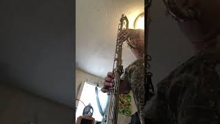 IMG 3168