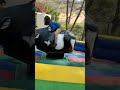 bull 🐂 challenge