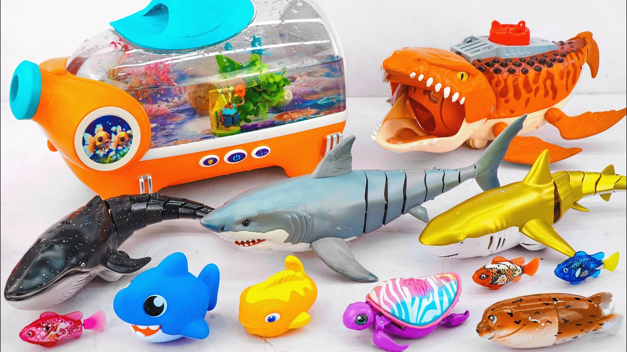 [Toy asmr] RC Shark & Crocodile & Snake &Mosasaurus & Turtle &Aquarium ASMR Satisfying with Unboxing