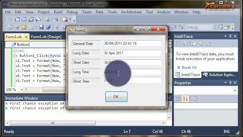 Virtual Basic 2010 - Format Date Time